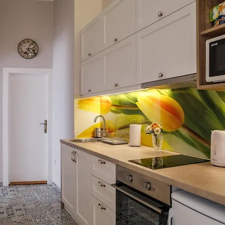 Luxury Appartamento Novi Sad