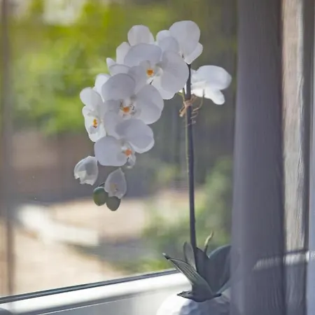 Luxury 公寓 诺威萨